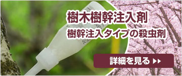 クビアカツヤカミキリやケムシの駆除に樹木樹幹注入剤（殺虫剤）