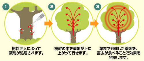 効果が期待できる主な害虫