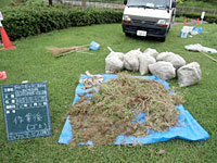 作業後 砂場より摘出されたゴミ