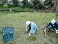 作業中 除草等