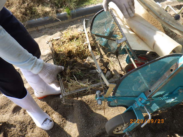 作業中　表面にある石・枯葉・ゴミ等をできる限り除去